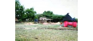 நன்னிலம்